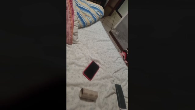 Bertoldo6969  23-10-2022